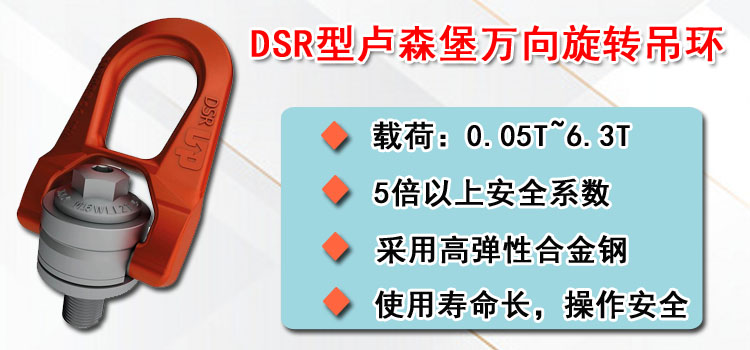 DSR型卢森堡万向旋转吊环介绍