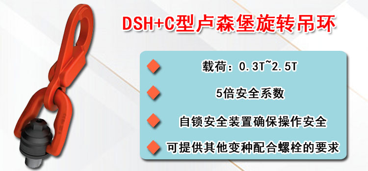 DSH+C型卢森堡旋转吊环介绍