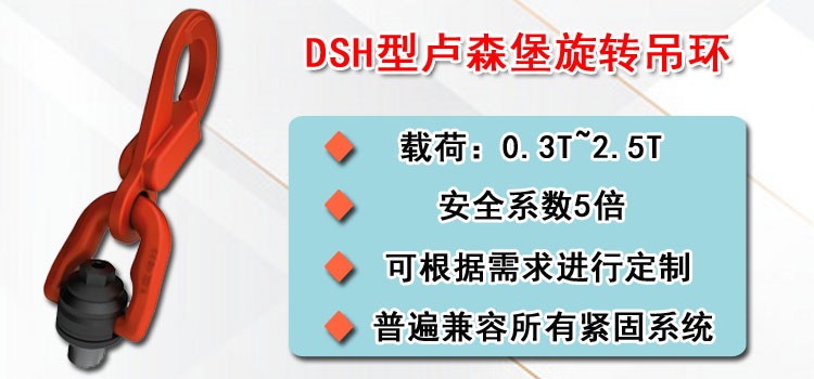 DSH型卢森堡旋转吊环介绍