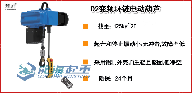 D2系列变频电动葫芦