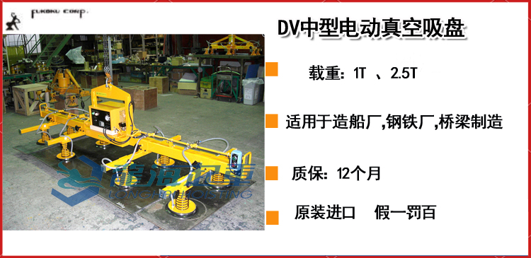 DV中型电动真空吸盘