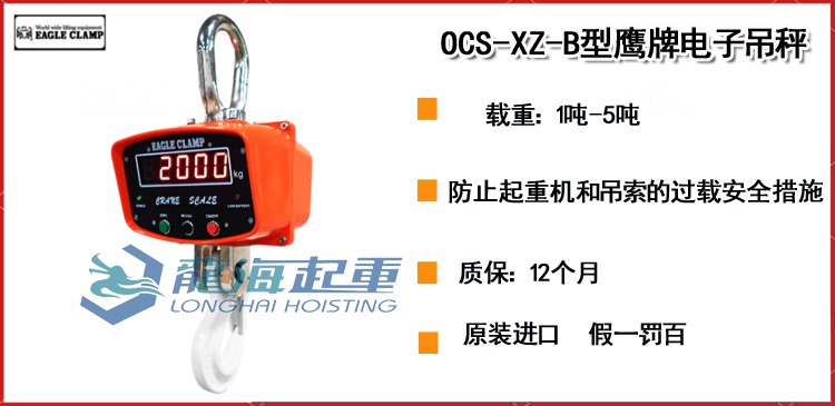 OCS-XZ-B型鹰牌电子吊秤